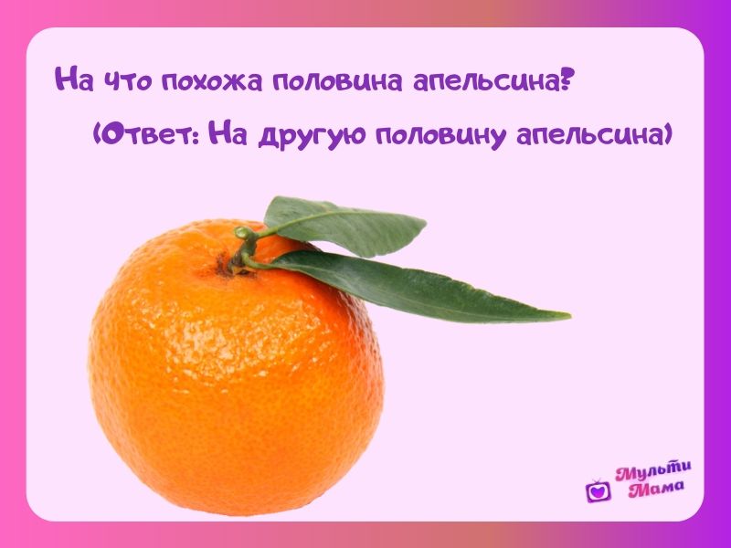 загадки с подвохом с ответами смешные загадки с подвохом с ответами смешные