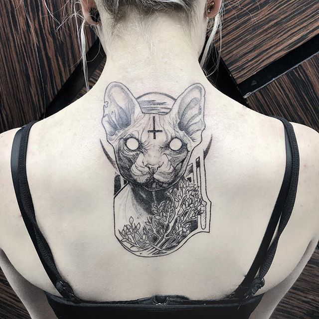Сфинкс тату кошки на спине